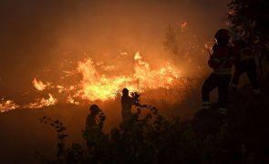 Quase 30 concelhos de seis distritos em perigo máximo de incêndio