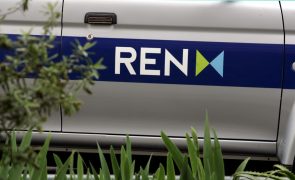 REN propõe investimento de 895,6 ME entre 2024 e 2033 em redes de gás -- ERSE