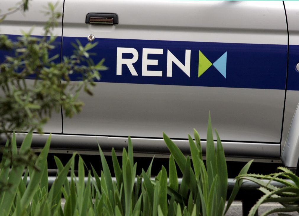REN propõe investimento de 895,6 ME entre 2024 e 2033 em redes de gás -- ERSE