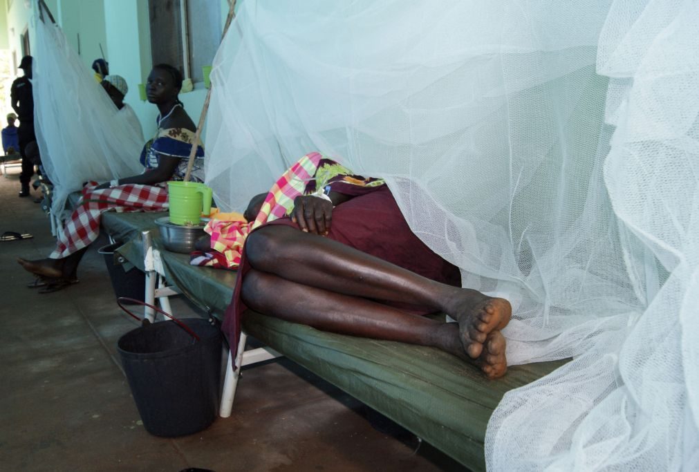 Mil milhões de pessoas em 43 países em risco de contrair cólera - ONU
