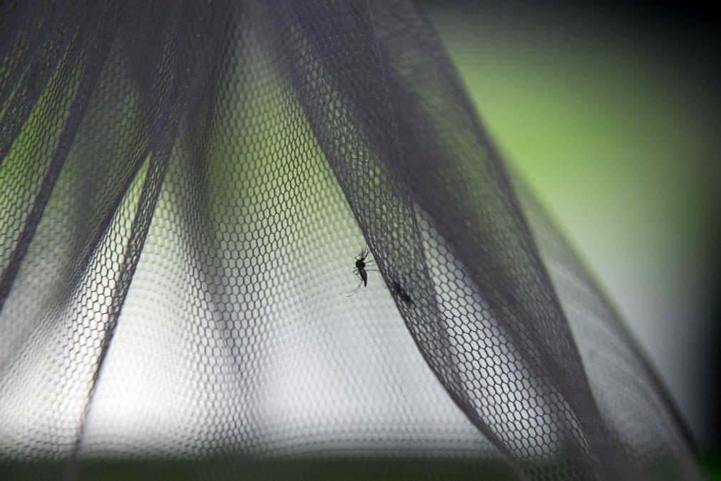 Portugal já tem vacina contra dengue que não exige infeção prévia