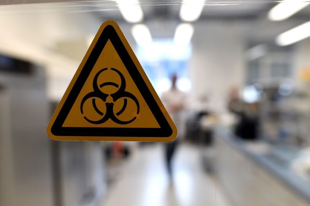 Direção-Geral de Saúde diz que «nada falhou» na prevenção e controlo da infeção