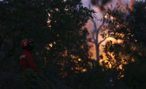 Concelhos de Tavira e São Brás de Alportel em Faro em perigo máximo de incêndio