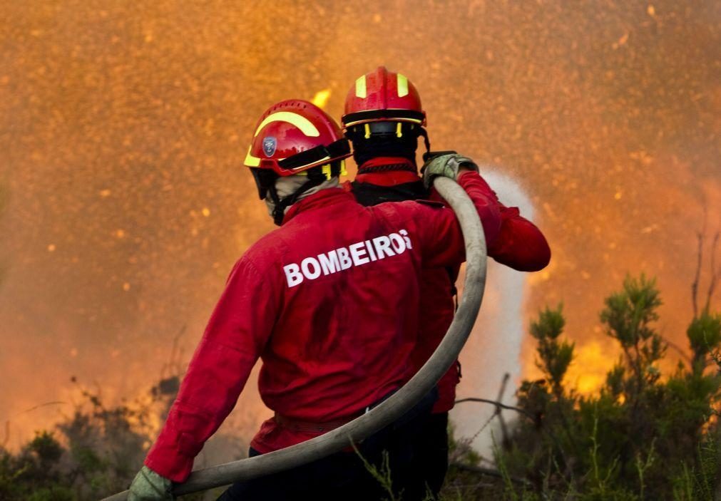 Cerca de 30 concelhos de cinco distritos em perigo máximo de incêndio