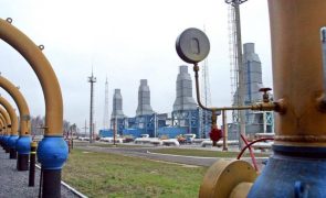 Global Witness acusa Total Energies e Shell de comercializarem gás russo