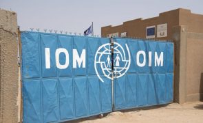 OIM insta presidência espanhola da UE a adotar o Pacto sobre Migração e Asilo até 2024