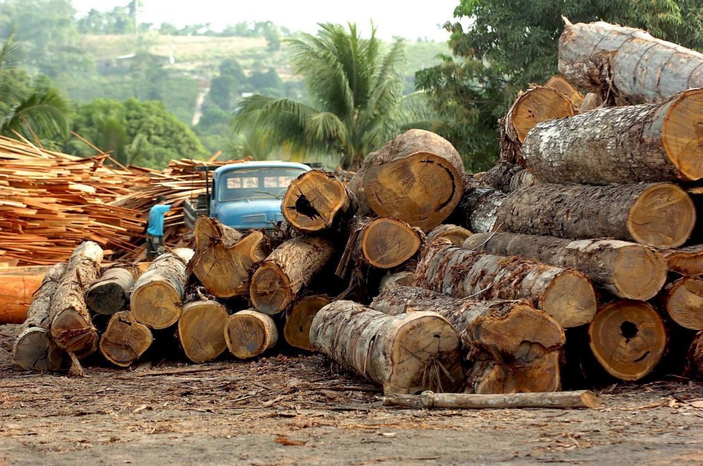 Brasil anuncia diminuição de 28% da taxa de desflorestação na Amazónia