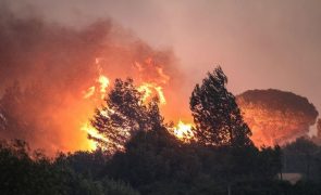 Proteção Civil alerta para tempo quente e seco e mantém país em alerta amarelo para risco de incêndio