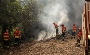 Reacendimento de fogo em Odemira mobiliza 144 bombeiros, 44 veículos e quatro meios aéreos