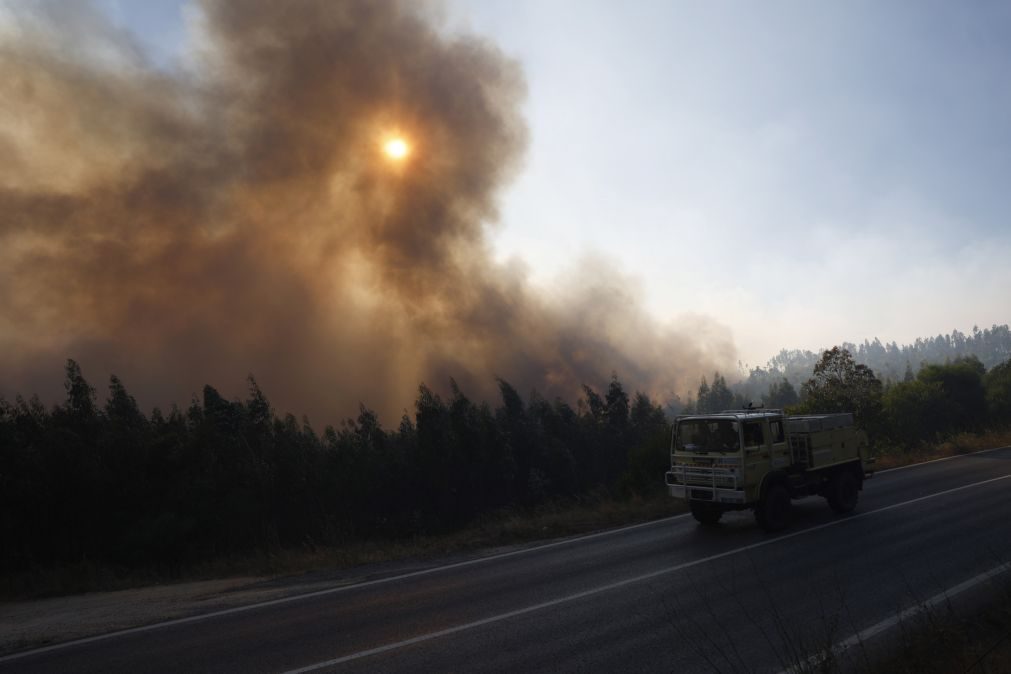 Detido suspeito de atear fogos na serra do Montejunto