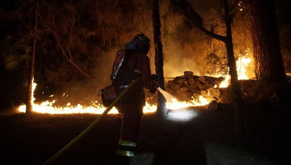 Militares combatem incêndio florestal fora de controlo em Tenerife