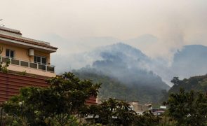 Autoridades investigam causas de incêndio florestal na ilha espanhola de Tenerife