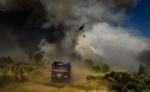 Mais de 90 concelhos de 14 distritos em perigo máximo de incêndio