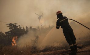 Incêndios perdem força perto de Atenas mas continuam fora de controlo no nordeste da Grécia