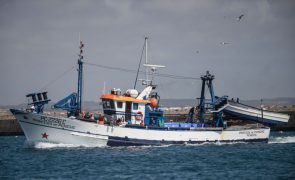 Pesca da sardinha com novos limites a partir de hoje