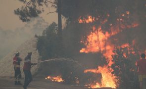 Portugal registou 7.097 fogos até setembro