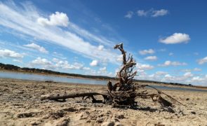 CNA volta a apelar ao Governo que declare situação de seca na região transmontana