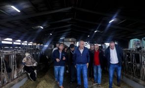 Paulo Raimundo defende intervenção do Governo nos custos de produção do leite