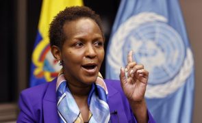 Moçambique/Ataques: ONU destaca resiliência das populações afetadas pelo conflito