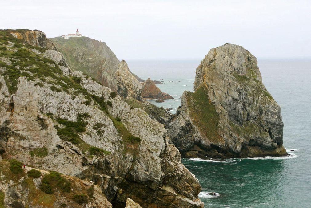 Área Marinha de Cascais, Mafra e Sintra com potencial para ter 