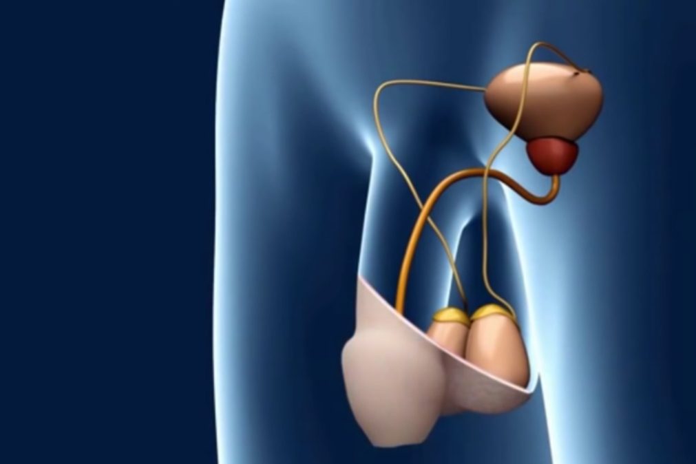 Infertilidade: nova técnica duplica êxito do tratamento