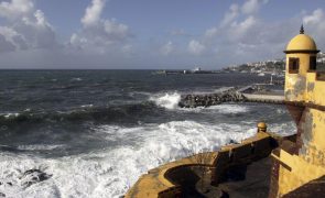 Capitania do Funchal emite aviso de agitação marítima e vento forte para a Madeira