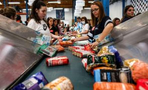 Banco Alimentar recolhe quase 2.300 toneladas de alimentos nos últimos três dias