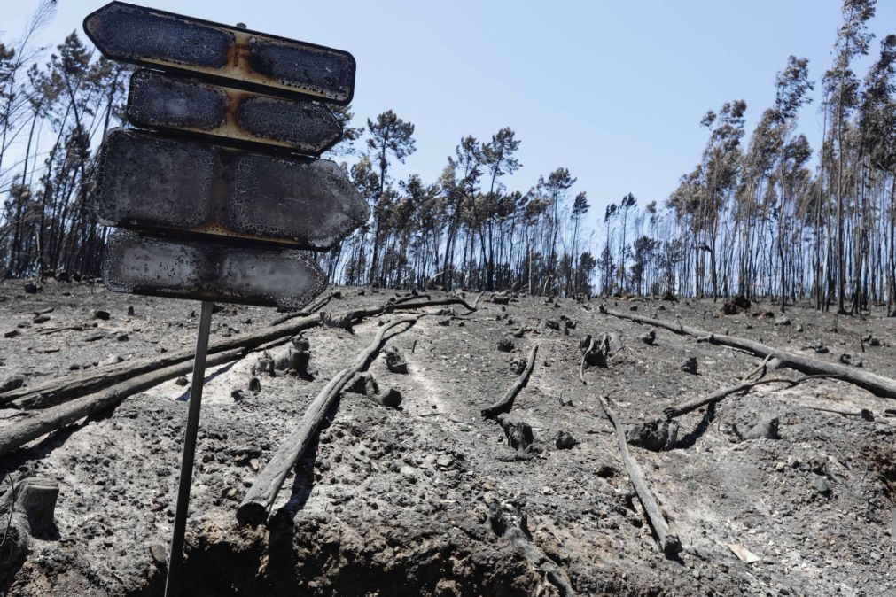 PJ encontrou ossadas que acredita serem de vítima dos incêndios de 2017