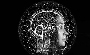 Implantes cerebrais: Quais as perspetivas para o futuro desta tecnologia?