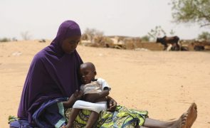 Cerca de 46,7 milhões de crianças africanas vão ter necessidades humanitárias em 2024