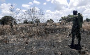 Moçambique/Ataques: Estado Islâmico reivindica ataque e morte de nove militares