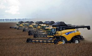Brasil reduz previsão da colheita de grãos neste ano por causa do el Niño