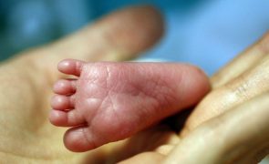 Portugal registou aumento de nascimentos em 2023