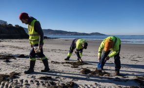 Plástico minúsculo e disperso recolhido à mão nas praias da Galiza