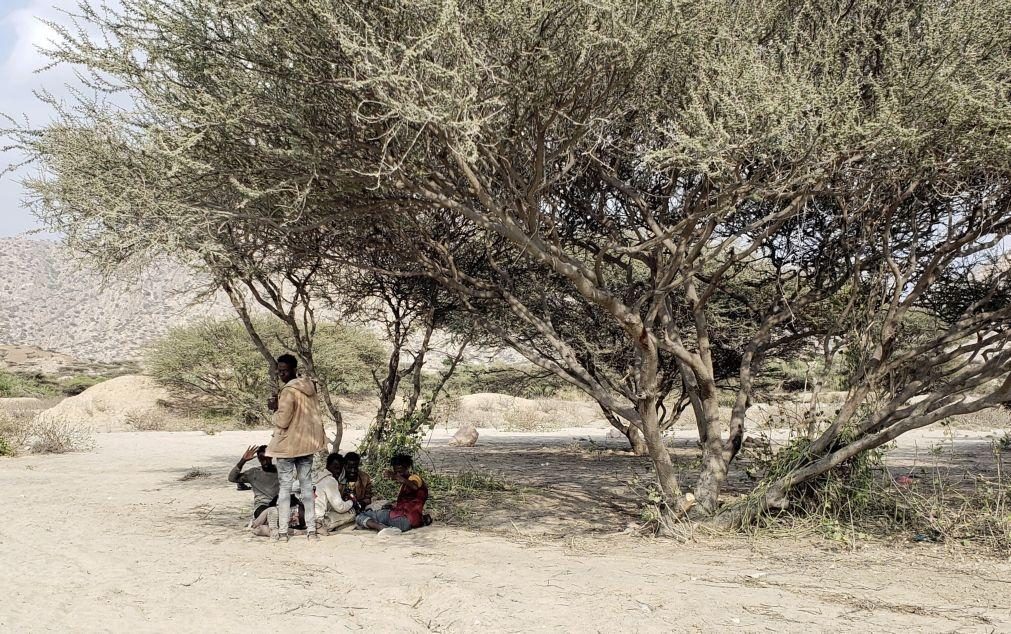 Corno de África é a região mais vulnerável às alterações climáticas