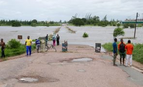 Cinco distritos da província moçambicana de Cabo Delgado isolados desde sábado