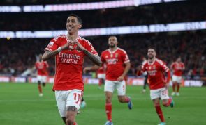 Recordista de títulos Benfica defronta estreante Estoril Praia nas 'meias' da Taça da Liga