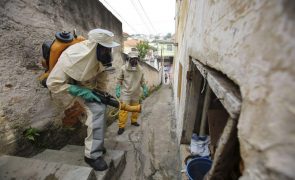 Brasil em alerta devido ao aumento de casos de dengue