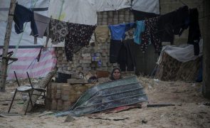 MSF alerta para deslocadas, grávidas, a viver em tendas e sem assistência obstétrica em Gaza