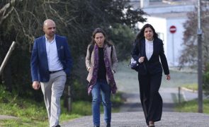 Novo líder do Governo da Madeira não poderá estar ligado a negócios investigados - PAN