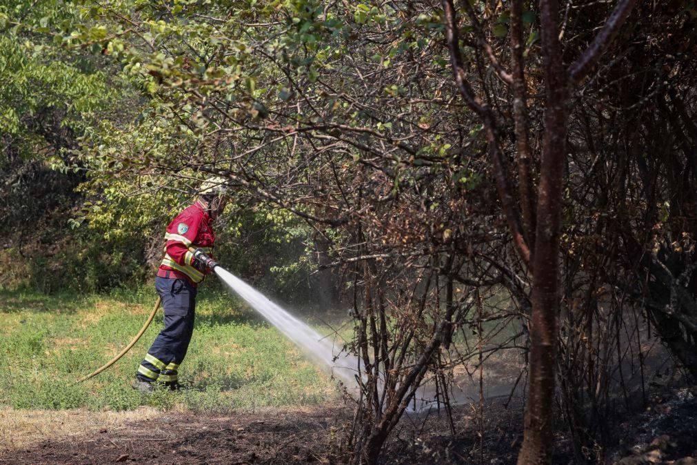 Sertã reforça bombeiros com mais equipas de intervenção permanente