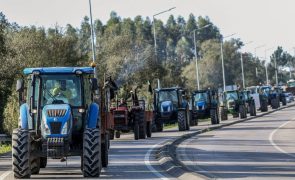 Agricultores em Ficalho (Beja) desmobilizaram e vão reunir-se com ministra