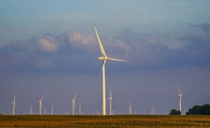 Energias renováveis impulsionam crescimento dos bens e serviços ambientais