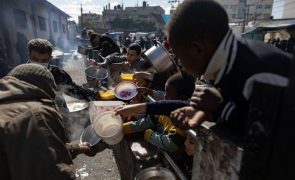 UNRWA não consegue entregar alimentos no norte de Gaza há duas semanas