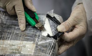Desmantelada rede de tráfico de droga e lenocínio em Viana do Castelo, Braga e Porto