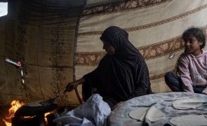 ONU acredita que fome em Gaza ainda pode ser evitada se Telavive permitir ajuda