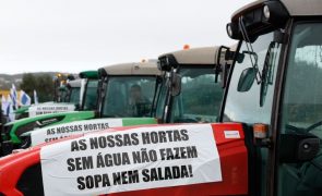 Agricultores algarvios apelam ao próximo Governo que tome medidas