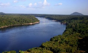 Destruição da Amazónia brasileira regista queda de 29,7% em fevereiro