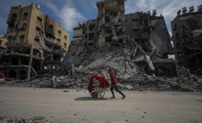 Mais de 20 ONG exigem ajuda humanitária à Faixa de Gaza por via terrestre e cessar-fogo