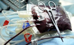 Instituto apela a doação de sangue face aos baixos níveis nas reservas